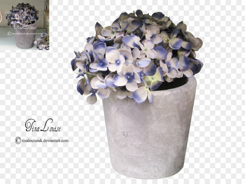 Potted Plants Hydrangea Floral Design Cut Flowers Flower Bouquet PNG