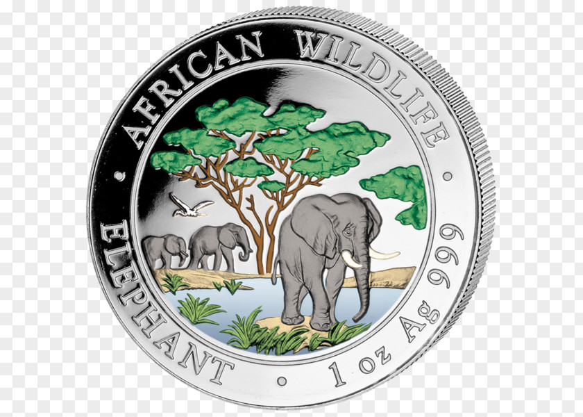 Silver Coin African Elephant Indian The Shoppe PNG