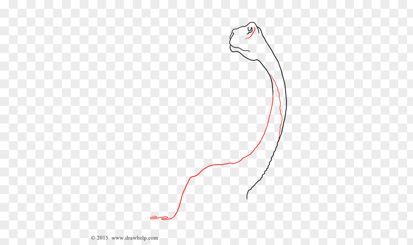 Dinosaur Drawing Mammal Line Point PNG