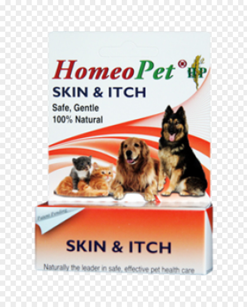 Dog Itch Cat Severe Anxiety Pyotraumatic Dermatitis PNG
