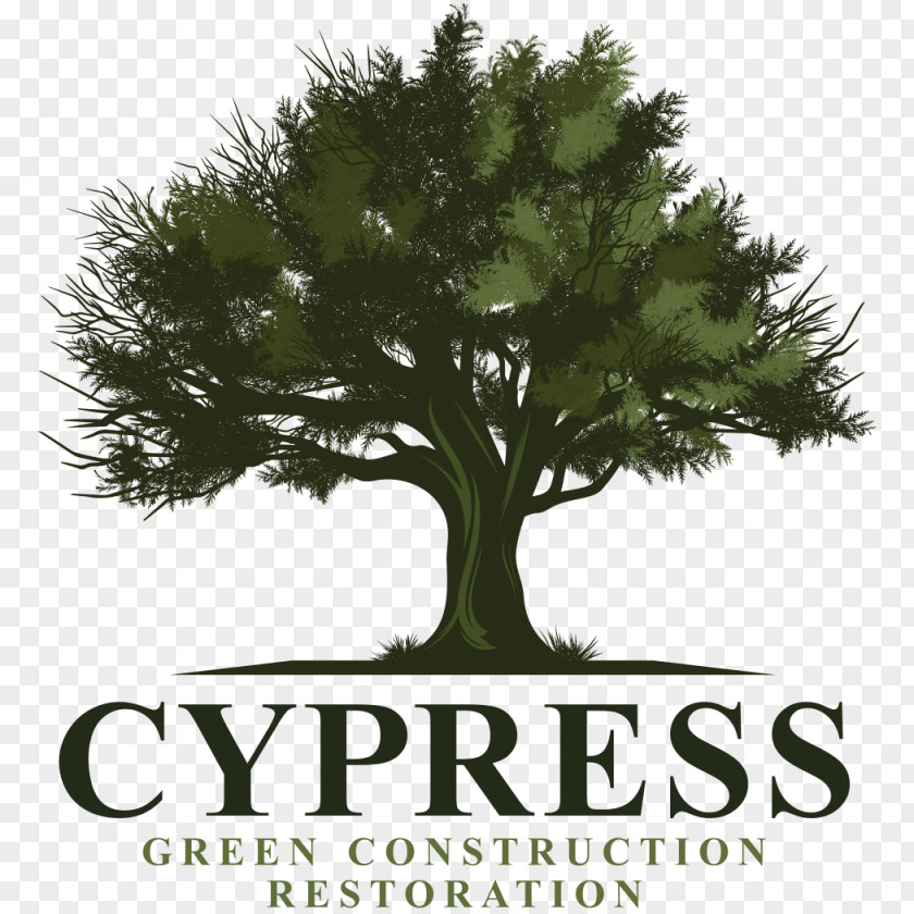 Fed Cypress Energy Partners Partnership Company Organization Business PNG