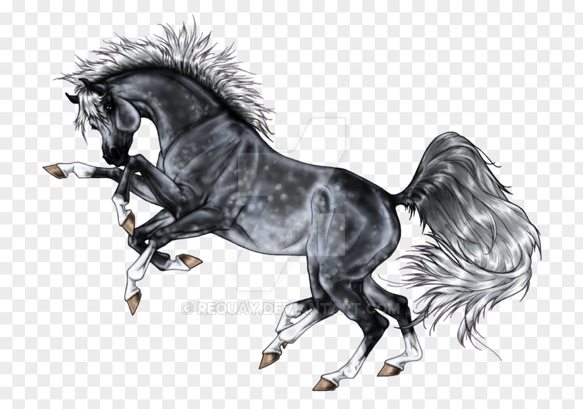 Horse Drawing Odin Sleipnir Loki PNG