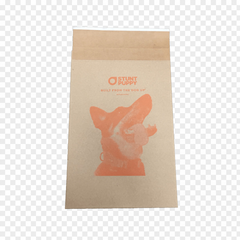 Kraft Paper Bag Envelope Recycling PNG