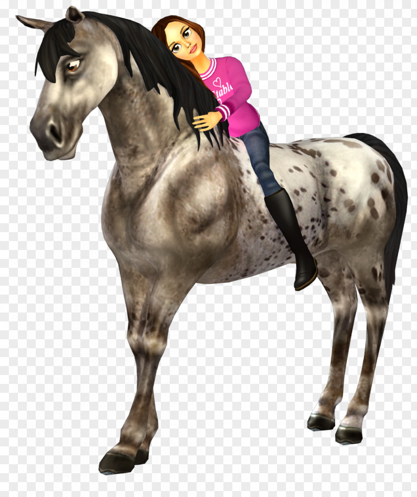 Mustang Star Stable Equestrian Game Wii PNG
