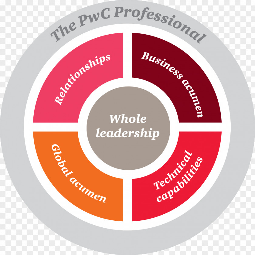 PricewaterhouseCoopers PwC Academy Career Business PNG