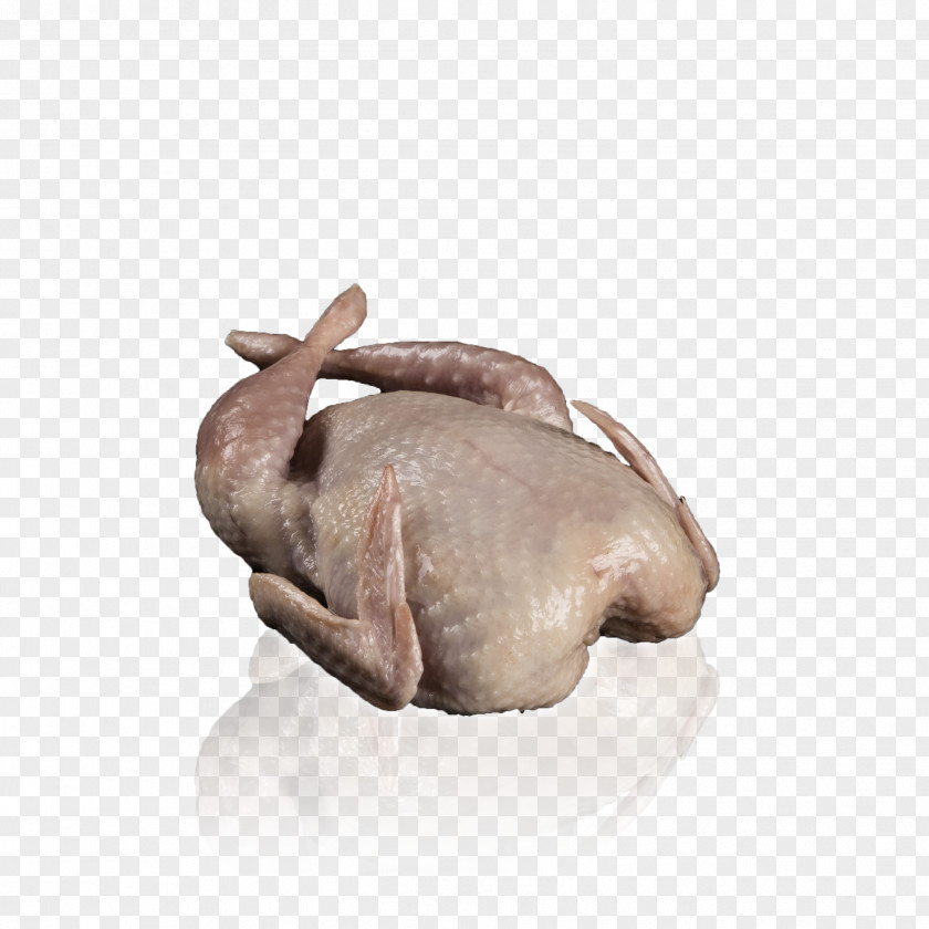 Quail Common Chicken Meat Pig PNG