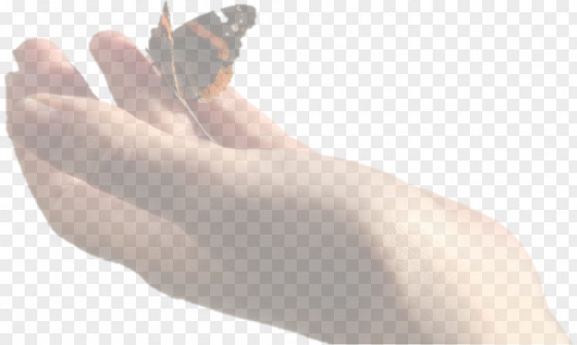 Butterfly Thumb Hand Nail Toe PNG