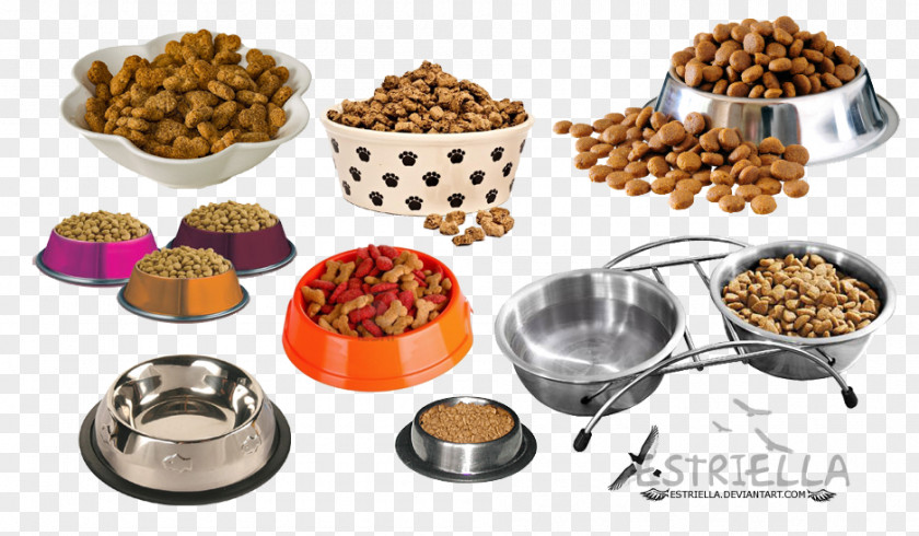 Cat Stainless Steel Food Dog PNG