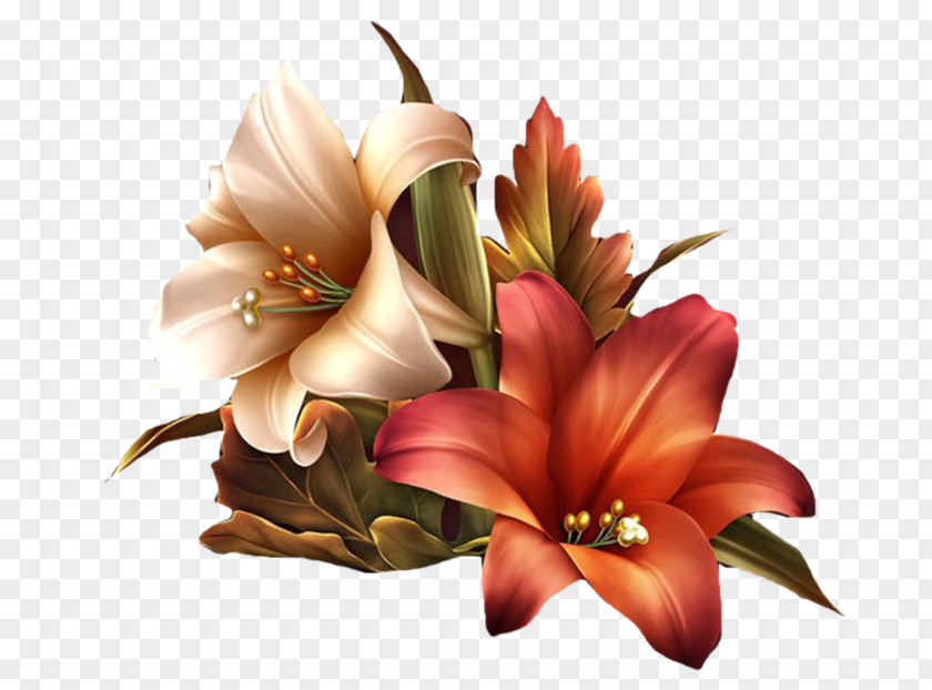 Flower Floral Design Decoupage Clip Art PNG