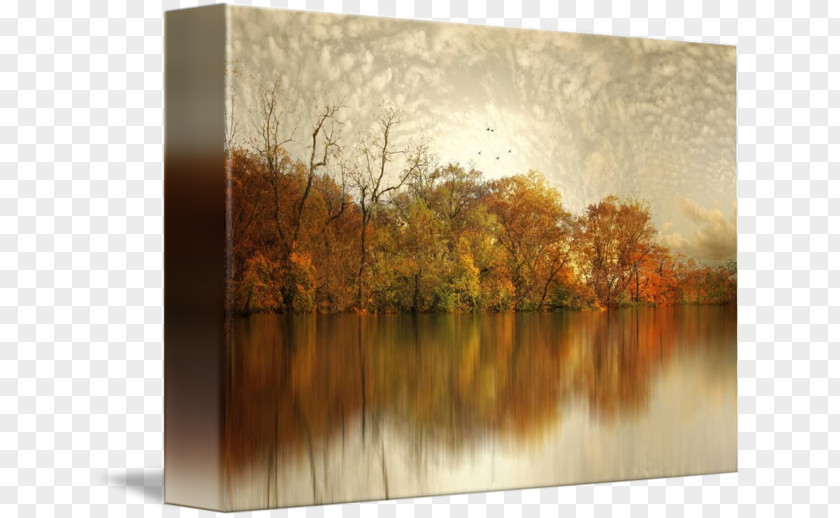 Painting Giclée Picture Frames Rectangle Reproduction PNG