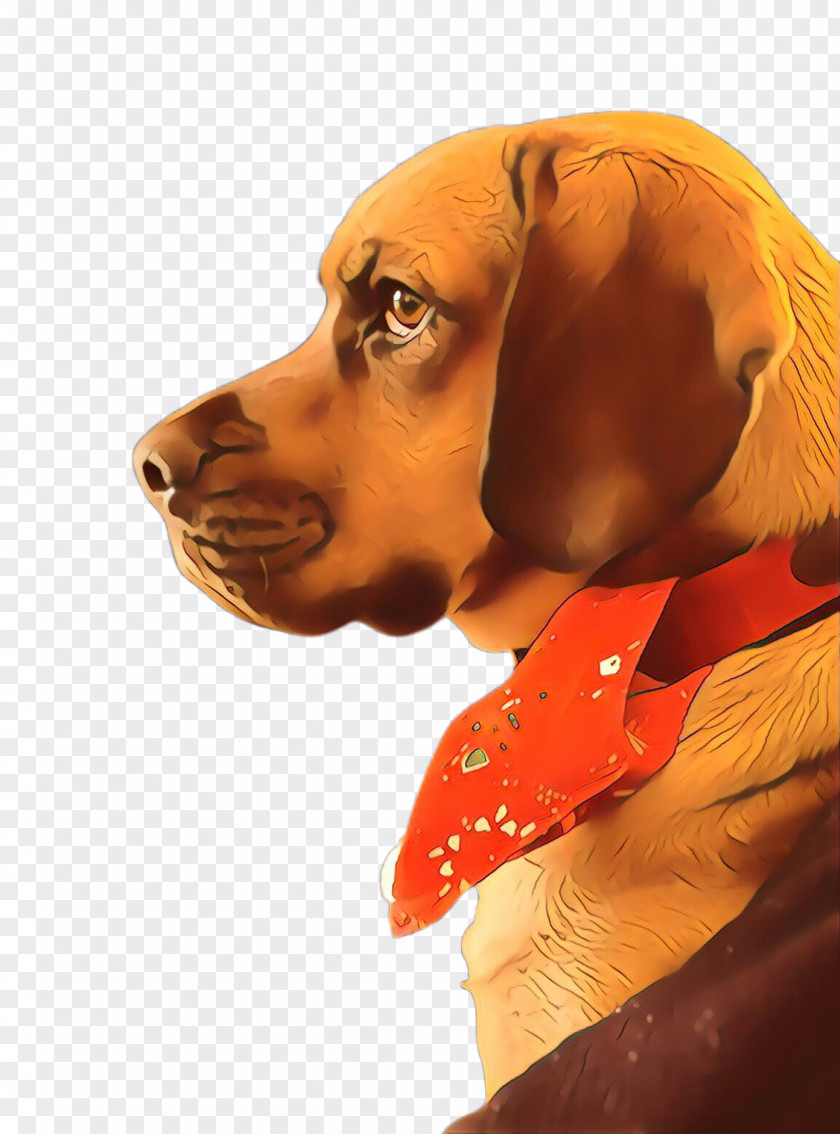 Bavarian Mountain Hound Tyrolean Cartoon PNG