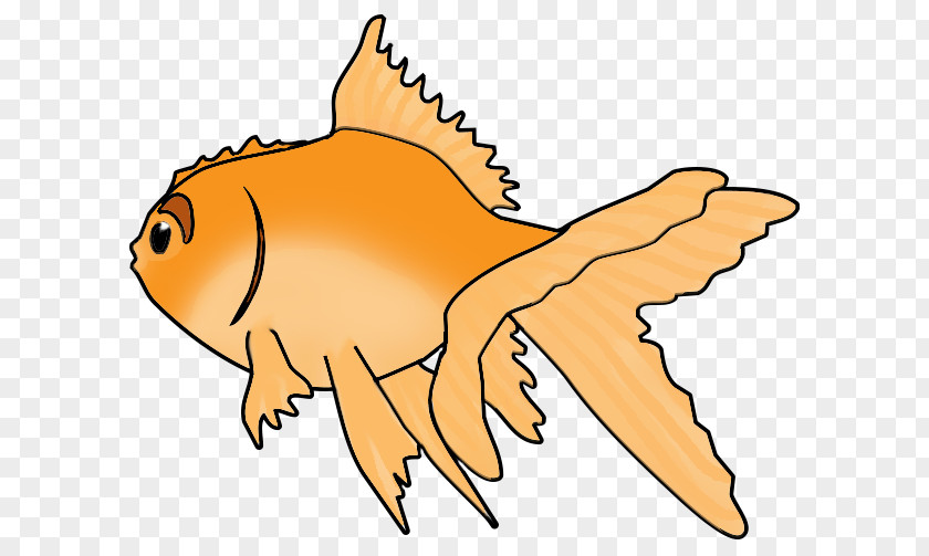 Goldfish Ryukin Fish Drawing Clip Art PNG