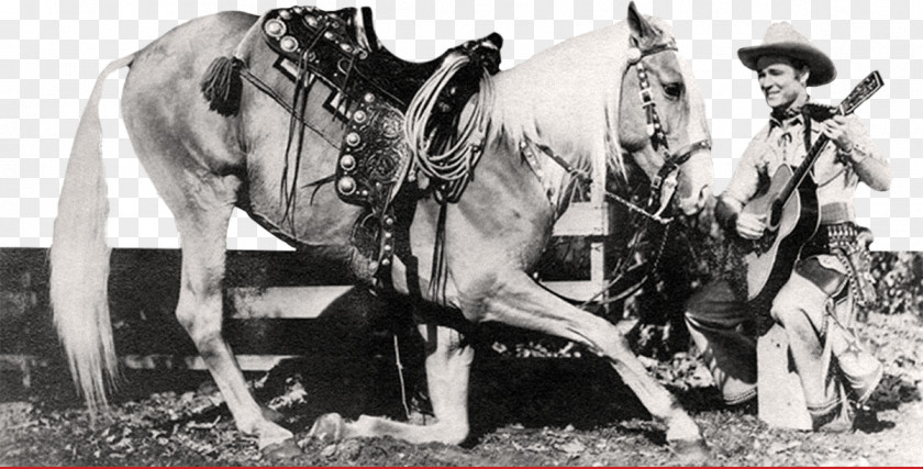 Horse Western Trigger Actor Roy Rogers Restaurants PNG