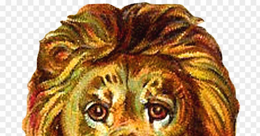 Lion Head Download Clip Art PNG
