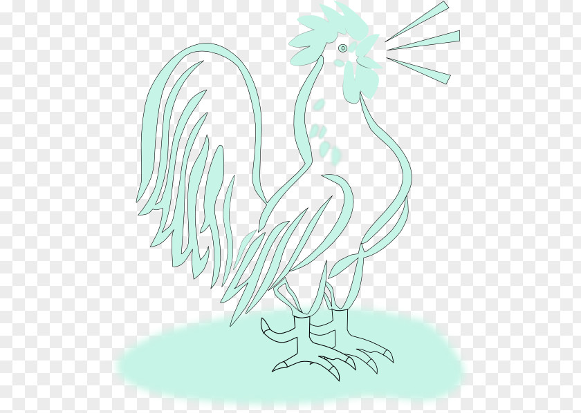 Rooster Drawing Chicken Bird Clip Art PNG