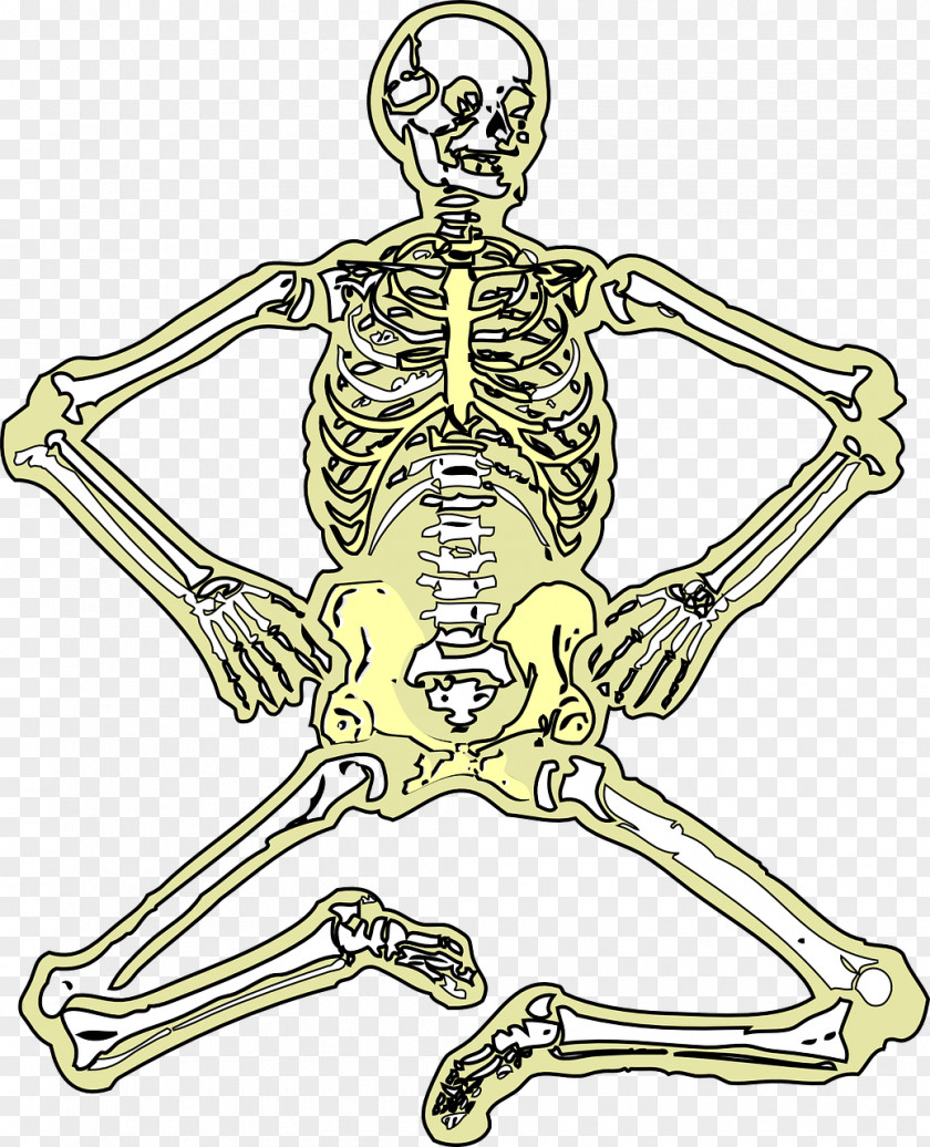 Skeleton Bone Space Science Clip Art PNG