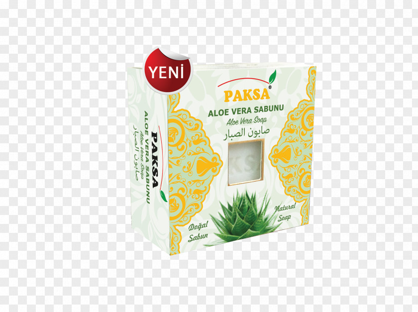 Aloe Vera Plant Commodity Product PNG