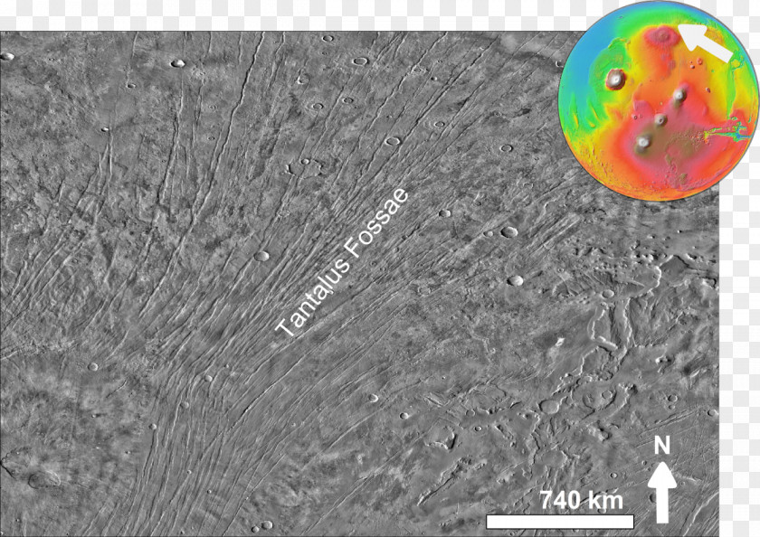 Fossa Simple English Wikipedia Encyclopedia Valles Marineris Echus Chasma PNG