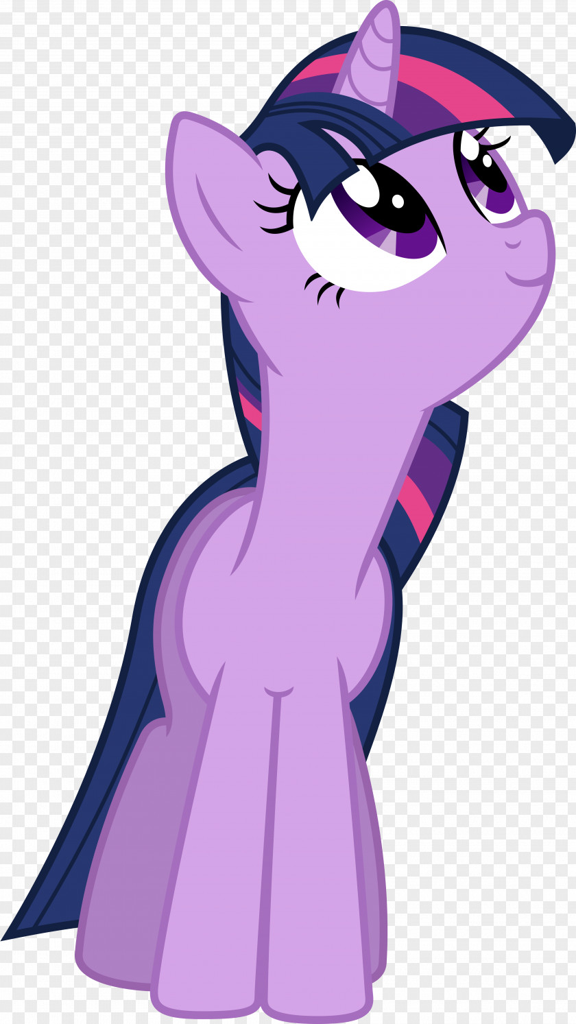 Sparkle Cat Mammal Horse Animal PNG