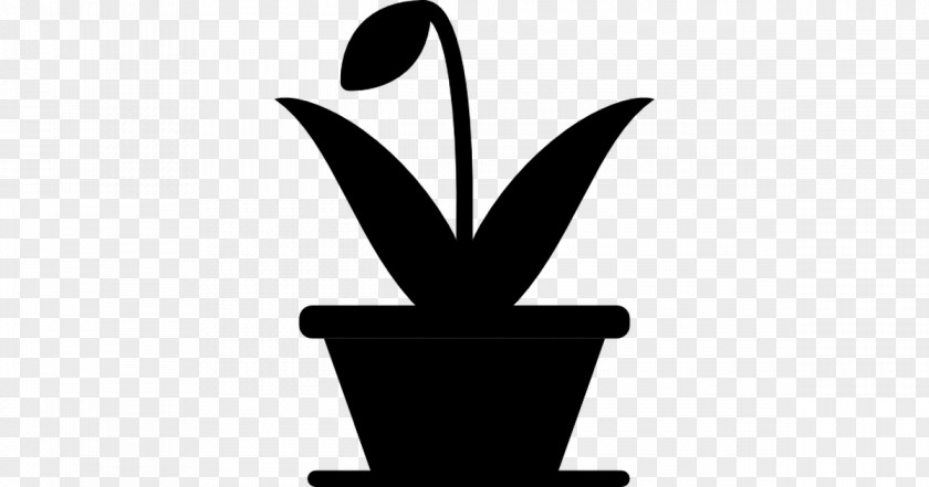 Clip Art Product Design Plants PNG