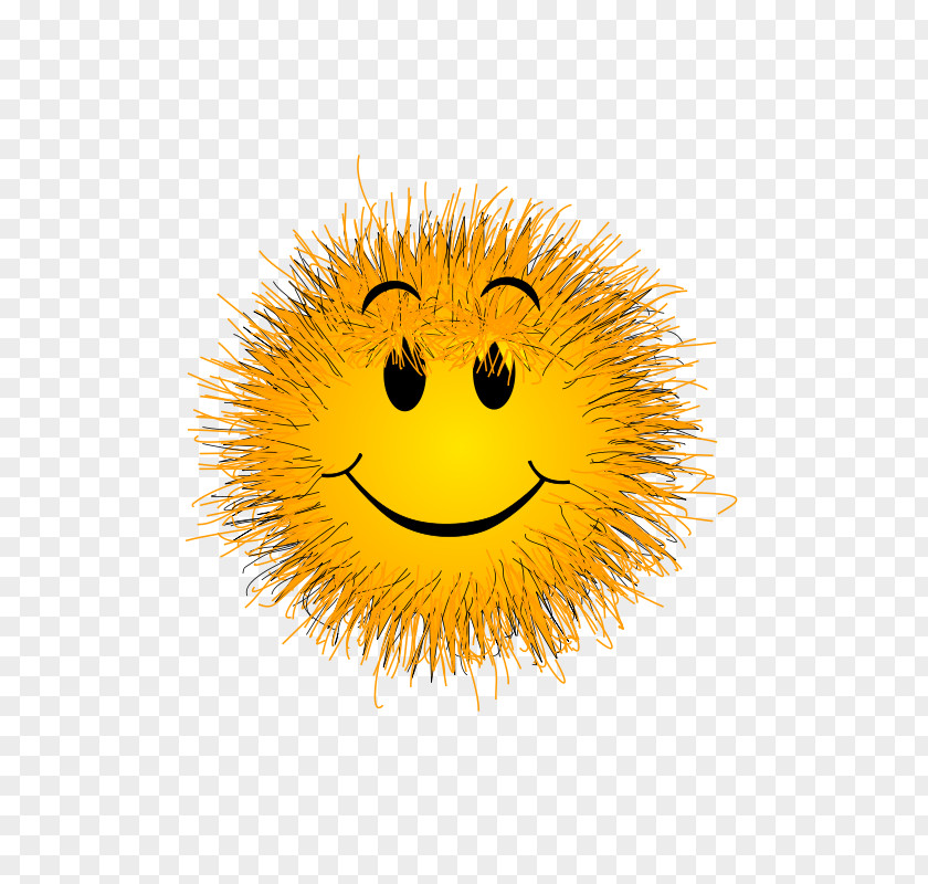 Fluffy Smiley Emoticon Clip Art PNG