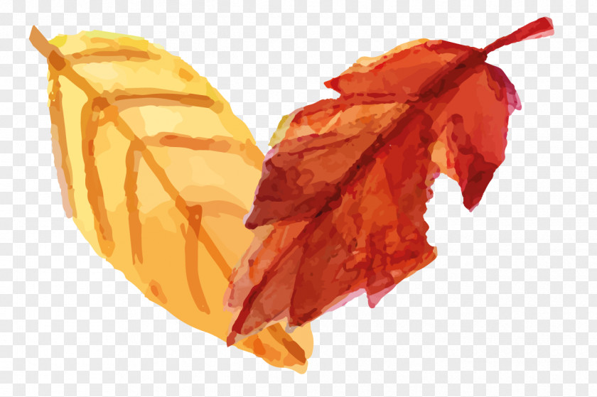 Hand-painted Leaves PNG