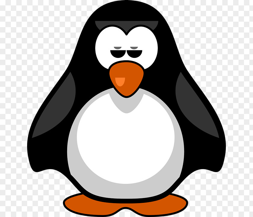 Penguin Bird Art Clip PNG