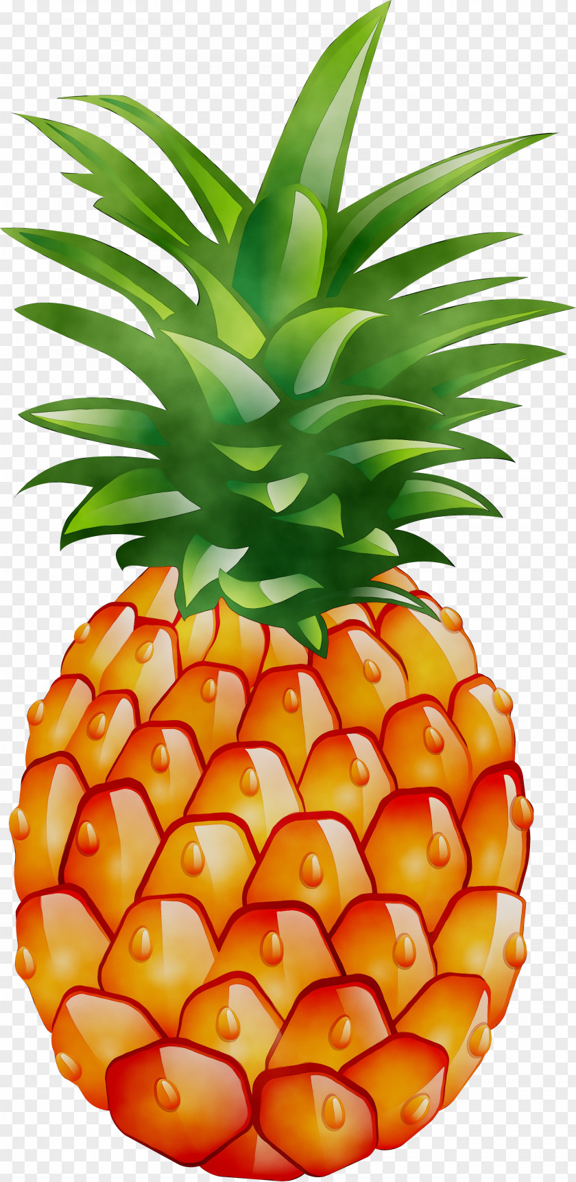 Pineapple Image Desktop Wallpaper Food PNG