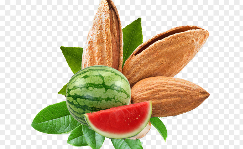 Pistachios And Watermelon Almond Nut Food Apricot Kernel PNG