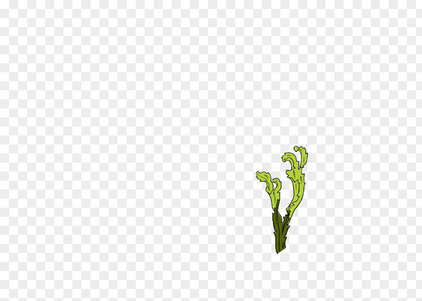 Seaweed Vector Leaf Plant Stem Tree PNG