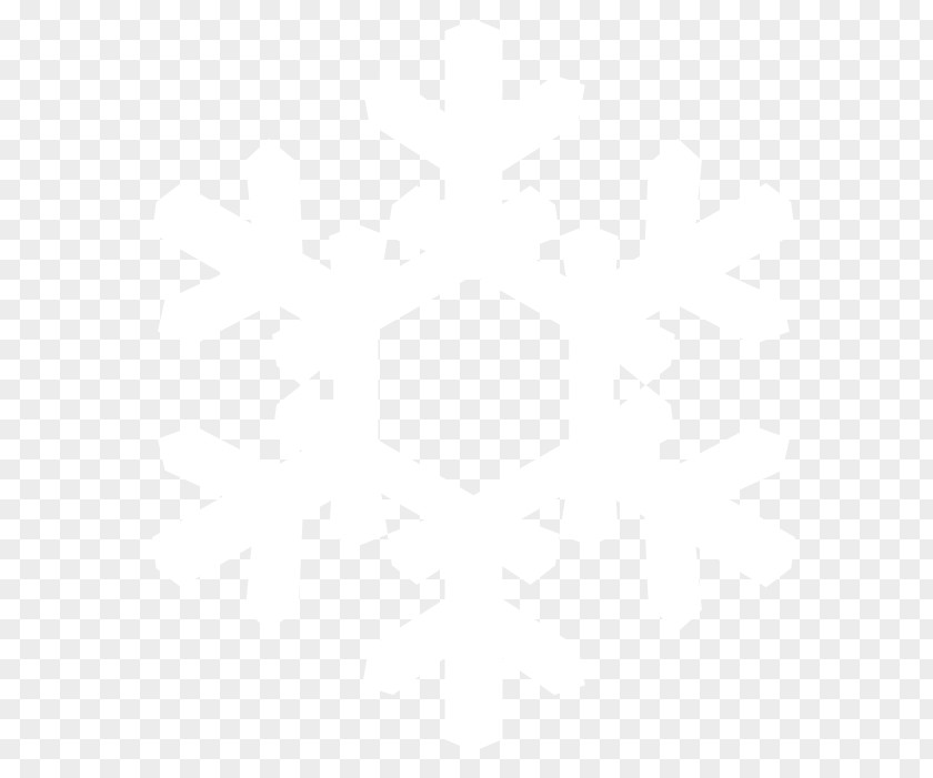 Snow Flake Logo Business Computer Software Service PNG