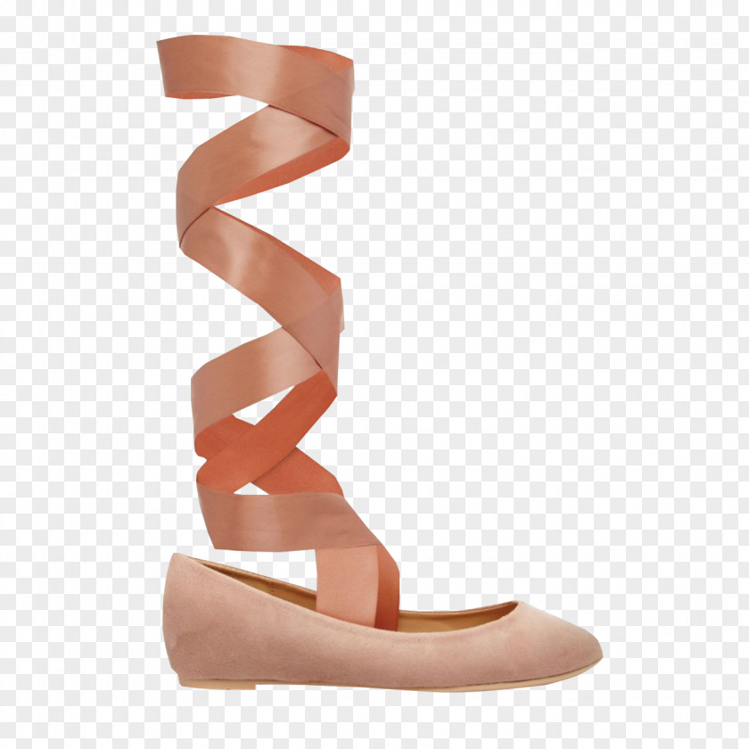 Ballet Shoe Pointe Flat PNG