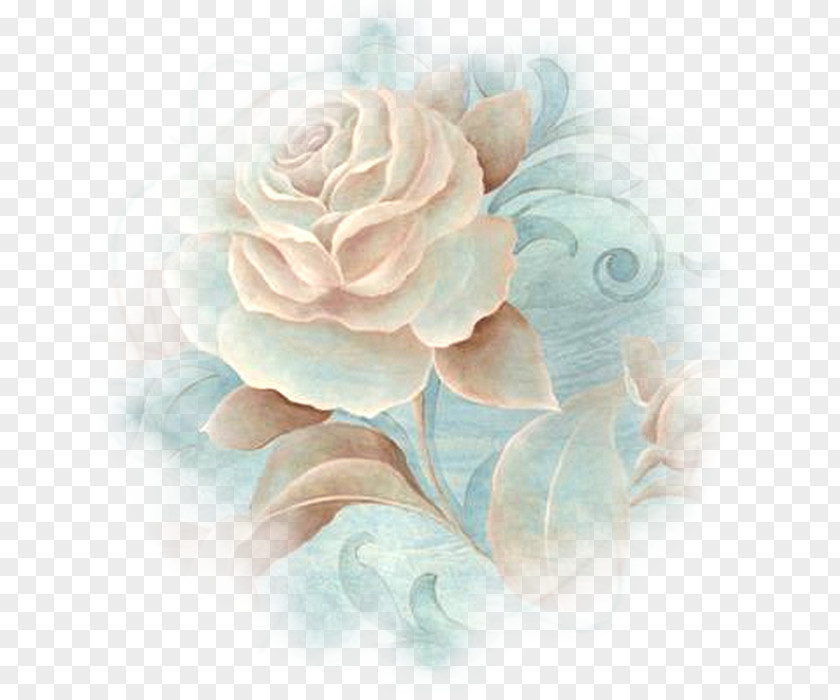 Birthday Cabbage Rose Garden Roses Gift Petal PNG