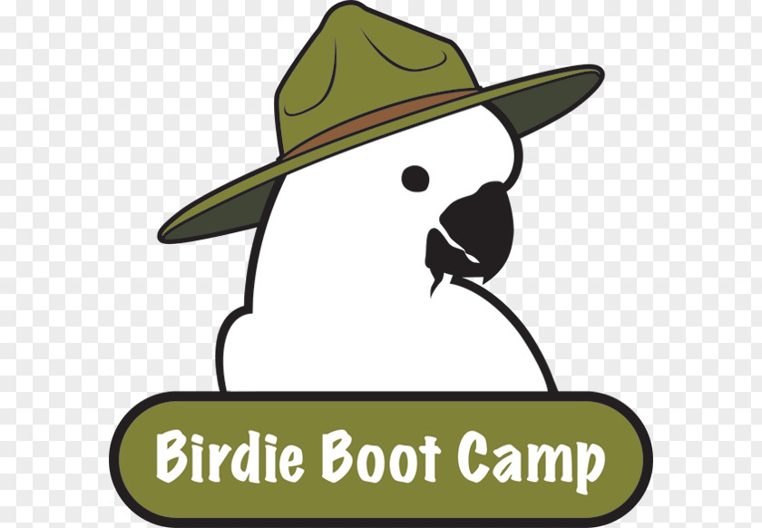 Boot Camp Cowboy Hat Parrot Clip Art Cartoon PNG