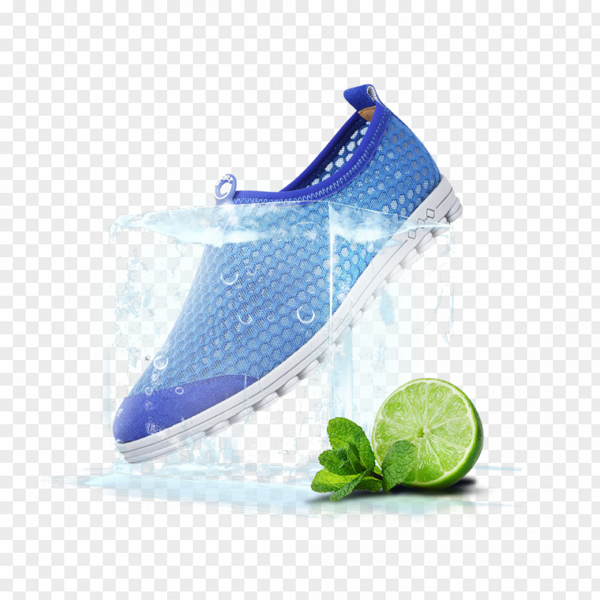 Frozen Shoes Shoe Designer PNG