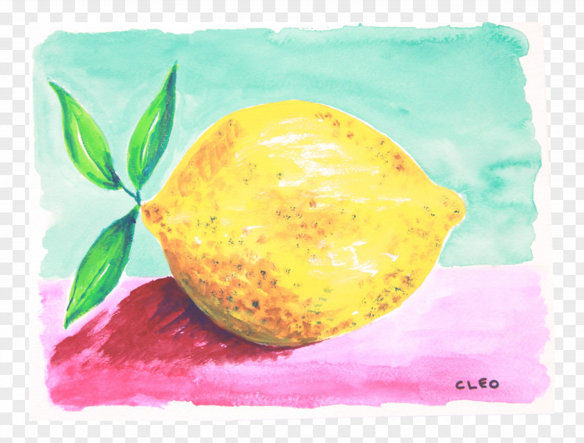 Gouache Lemon Still Life Photography Citron PNG