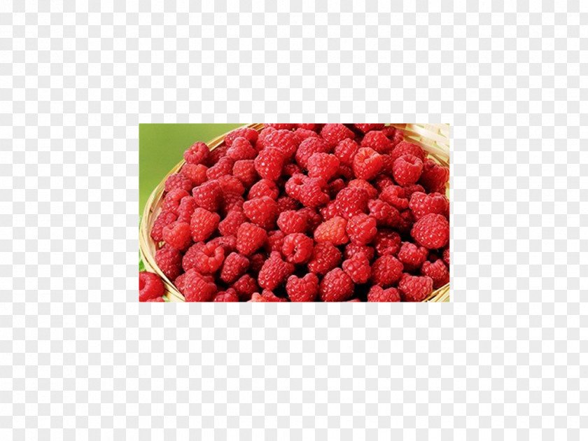 Raspberry Cranberry Superfood Strawberry PNG