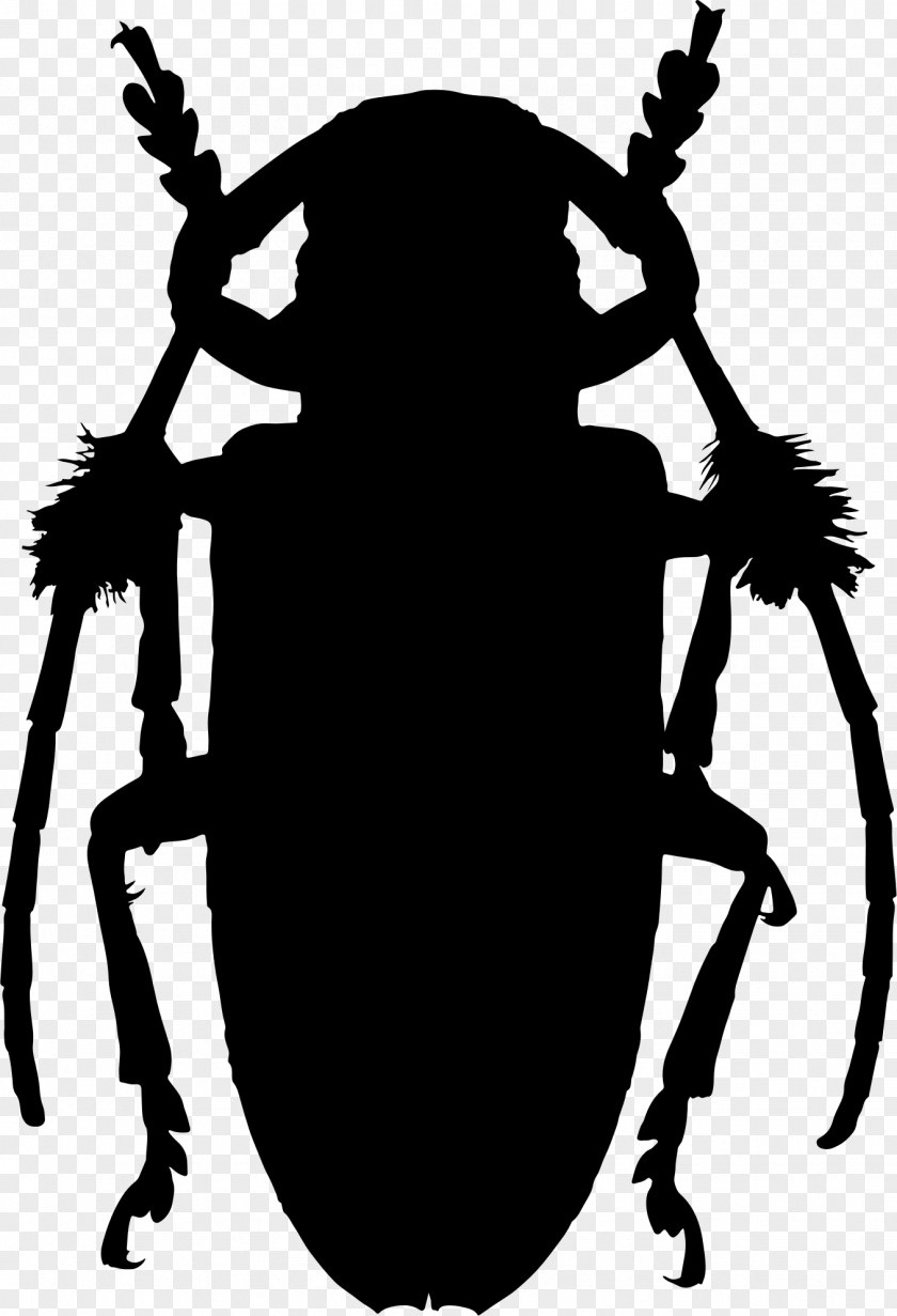 Beetle T-shirt Scarab Ladybird Lamiinae PNG