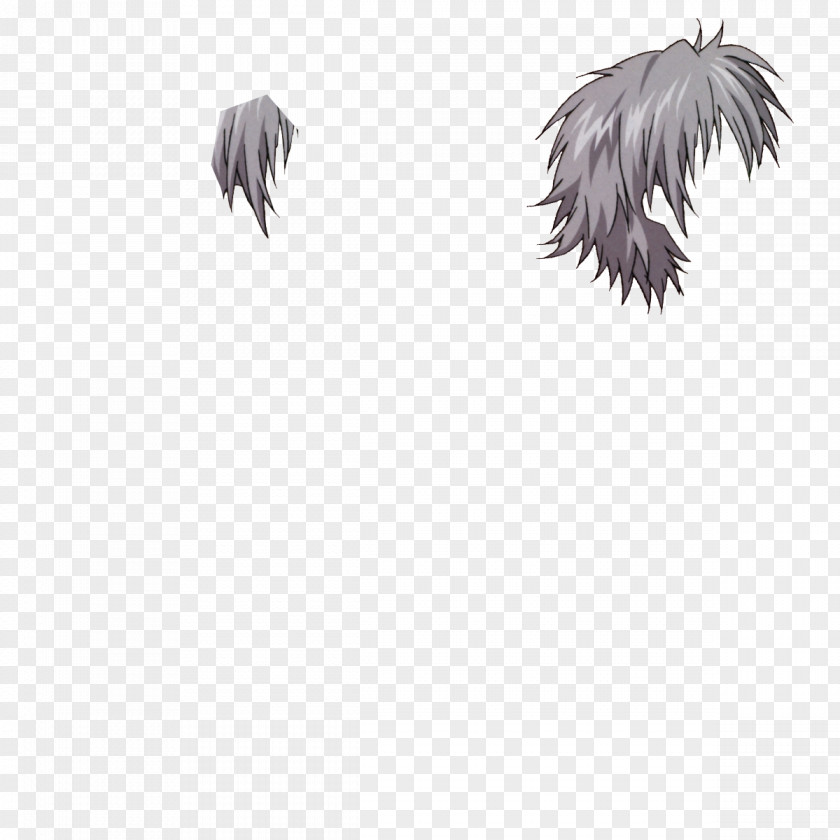 Feather Beak White Tail Black PNG