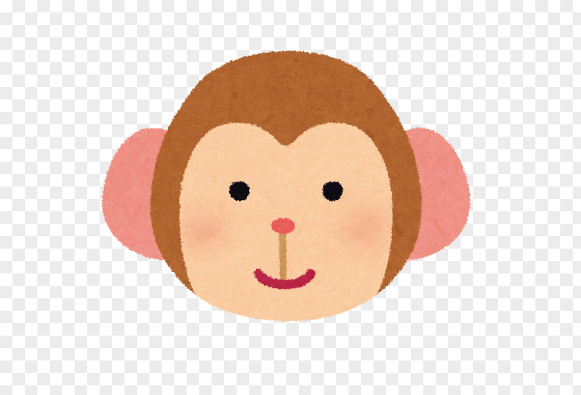 Monkey Pygmy Slow Loris いらすとや Homo Sapiens PNG