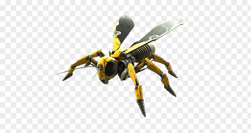 Robotics Bee Hornet Insect Robotic Pet Wasp PNG