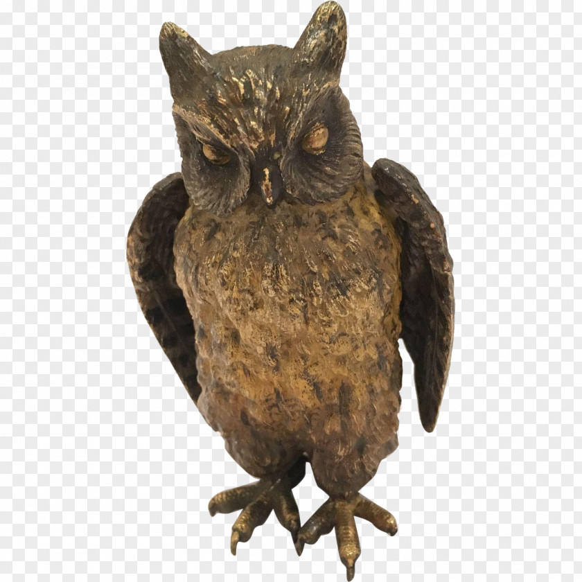 Bird Of Prey Owl Beak Fauna PNG