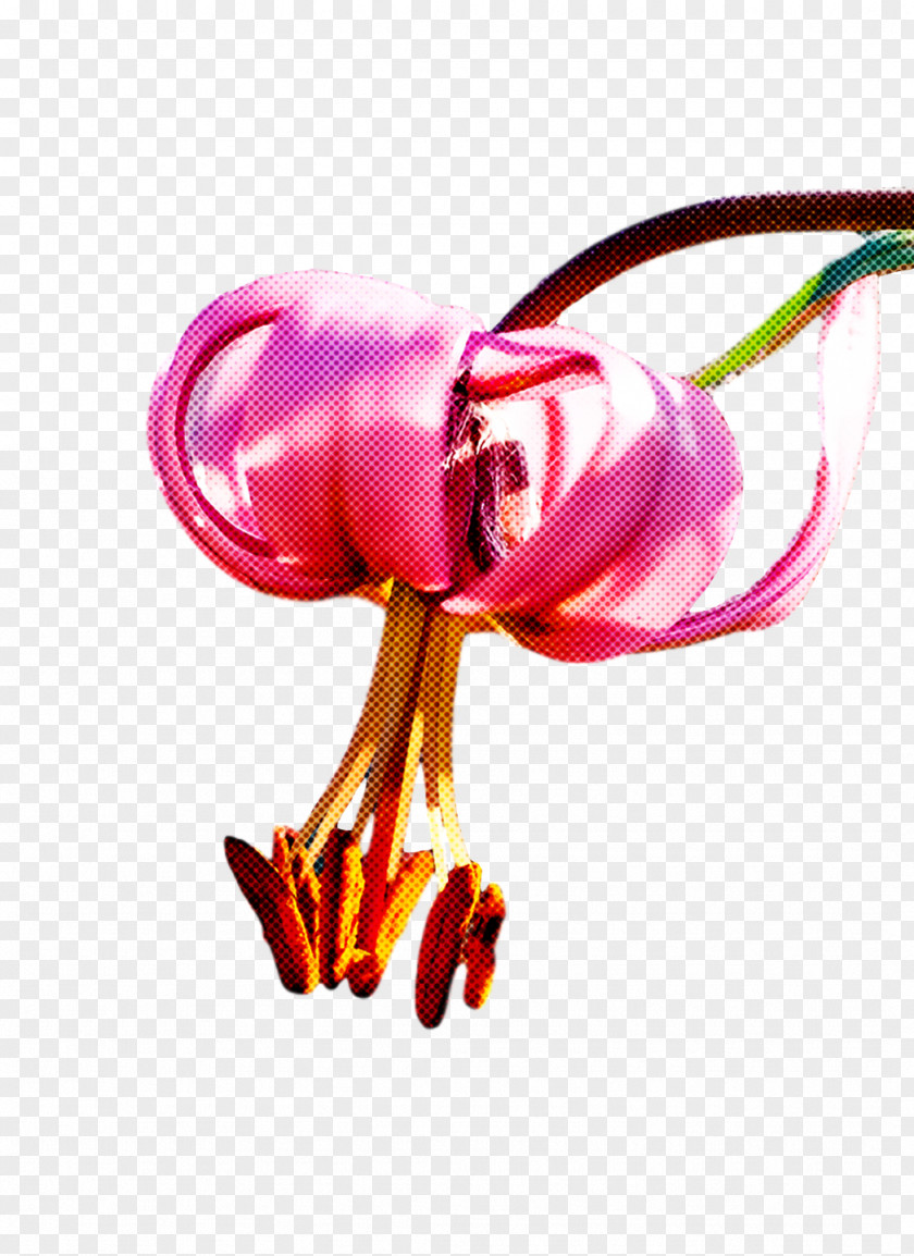 Floral Design PNG