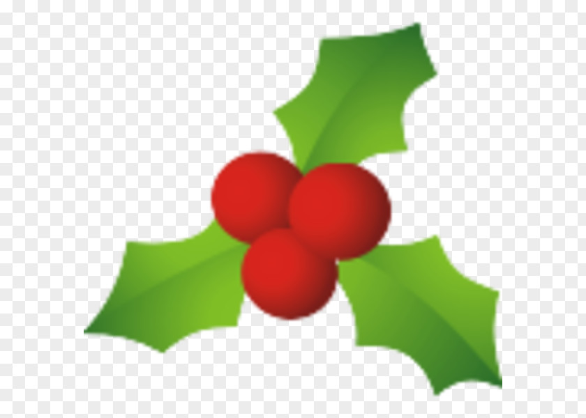 Mistletoe Cliparts Common Holly Candy Cane Santa Claus Christmas PNG