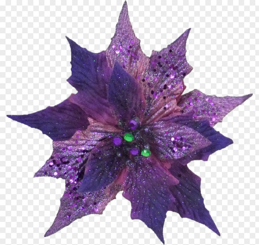 Poinsettia Clipart Flower Purple Leaf PNG