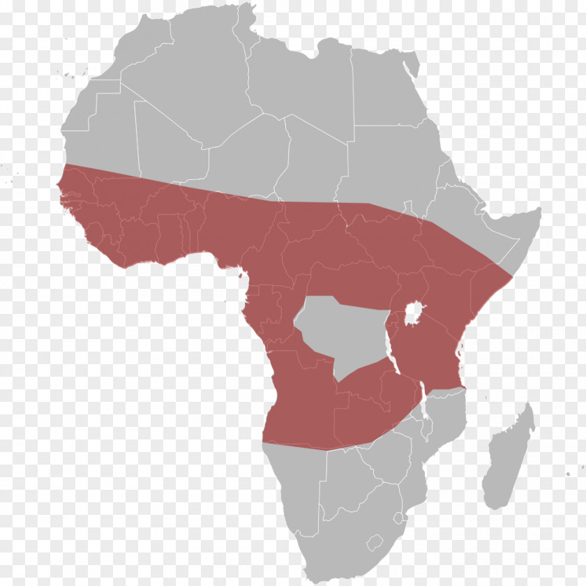 Africa Benin Somalia Vector Map Clip Art PNG