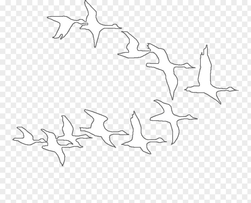 Angle Drawing Line Art White /m/02csf Clip PNG