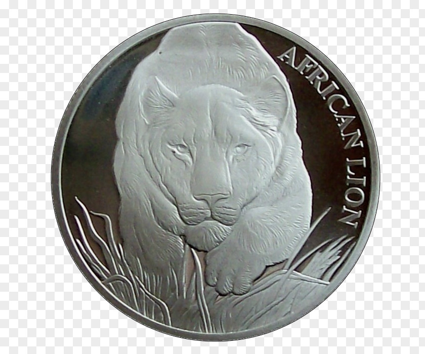 Coin Stone Carving Cat Silver PNG