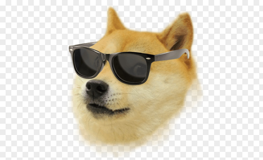 Doge Coin Weather Run Android Download PNG