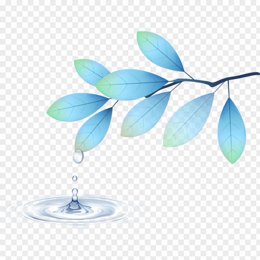 Drops Leaves Leaf Drop PNG